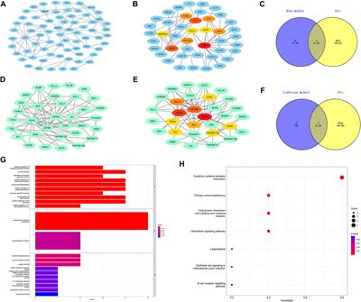 Identification of key genes in late-onset major depressive disorder through a co-expression network module